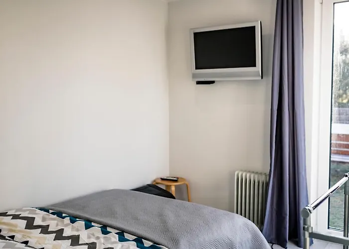 W Debowym Gaju Debowy Gaj