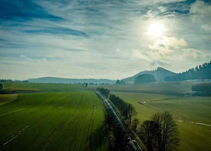 W Debowym Gaju Debowy Gaj